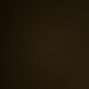 Meet your Posher, Eva